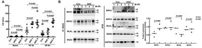 MG53 Inhibits Necroptosis Through Ubiquitination-Dependent RIPK1 Degradation for Cardiac Protection Following Ischemia/Reperfusion Injury